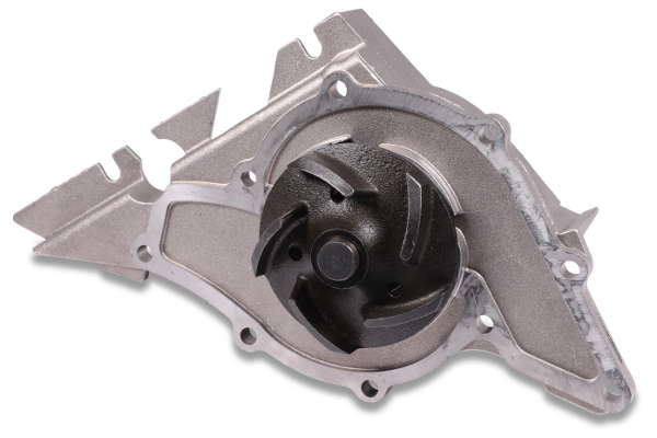 P560 (2)