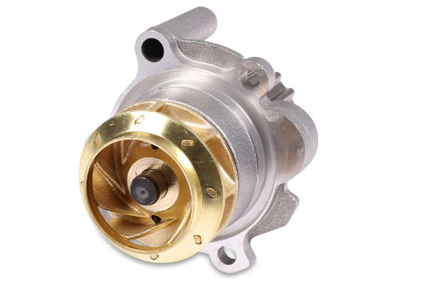 P563 (2)