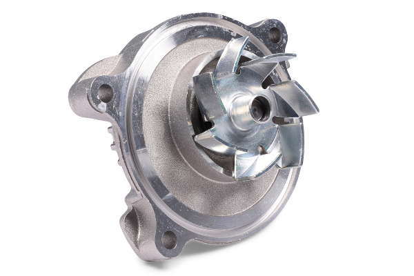 P574 (2)