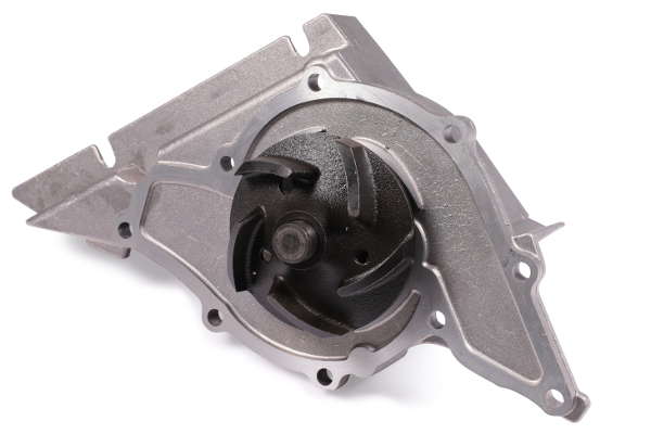 P579 (2)