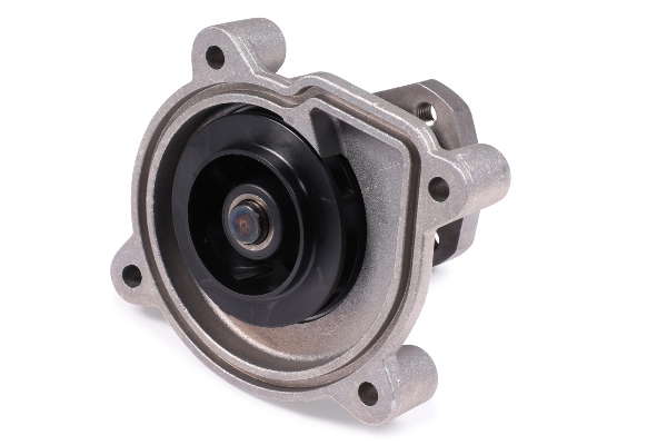 P581 (2)