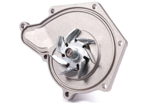 P582 (2)
