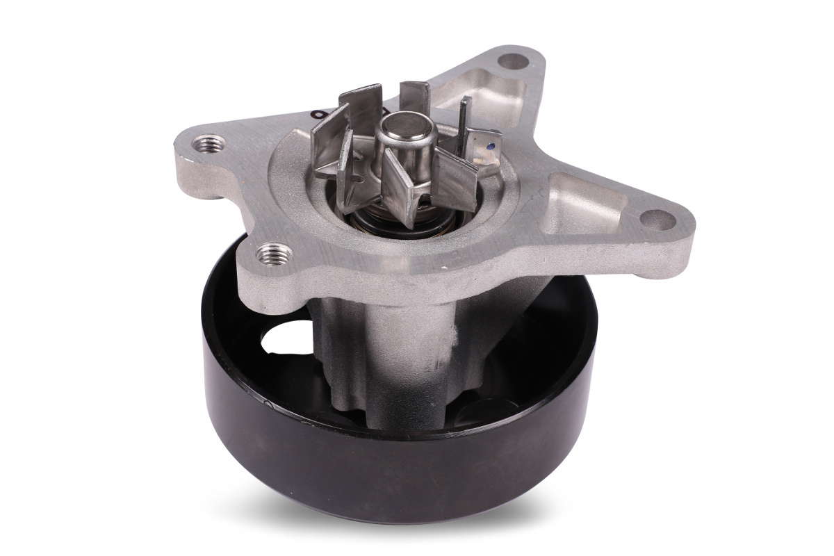 P7396 (2)