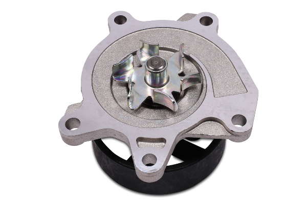 P7398 (2)