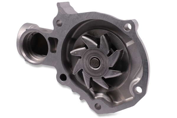 P7553 (2)