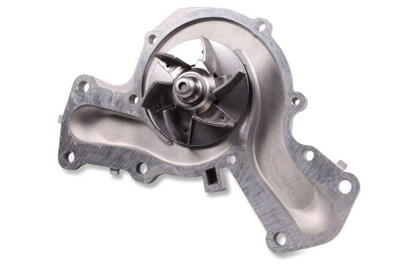 P7555 (2)