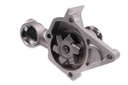 P7704 (2)