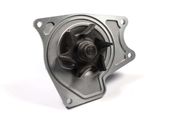 P7746 (4)
