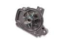 P783 (2)
