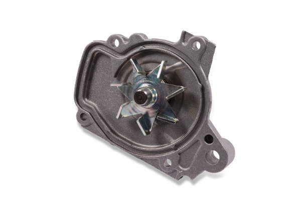 P783 (2)