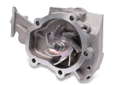 P799 (2)