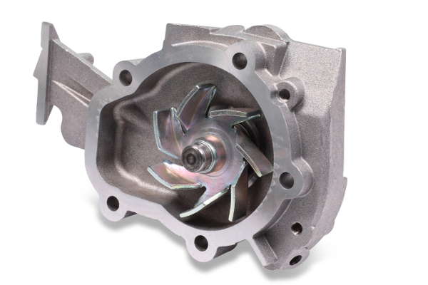 P799 (2)