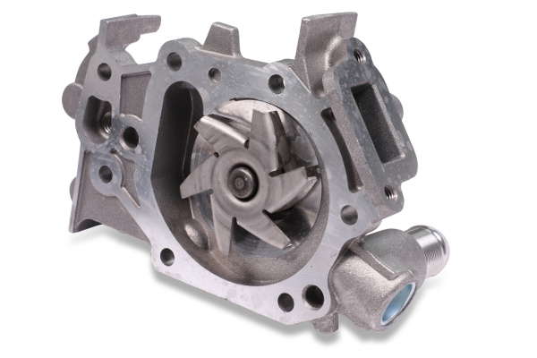 P916 (2)