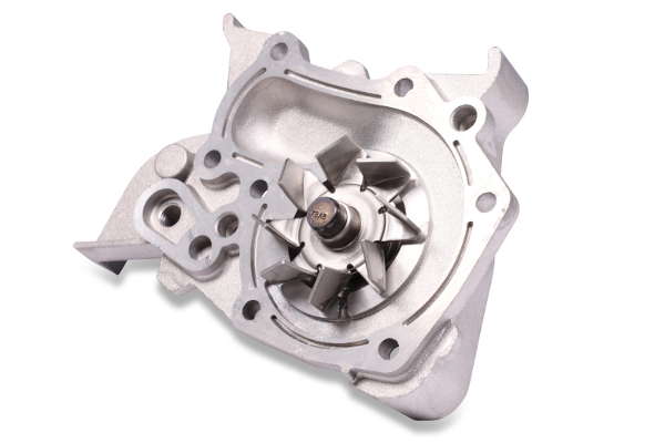 P931 (2)