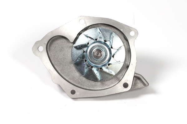 P955 (3)