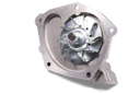P957 (2)