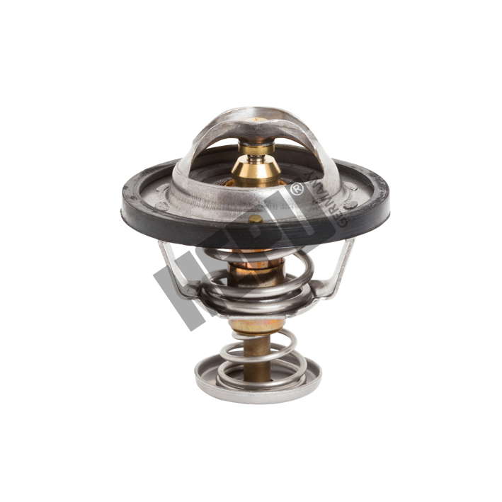 Thermostat d'eau