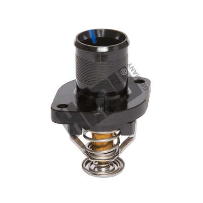 Thermostat d'eau