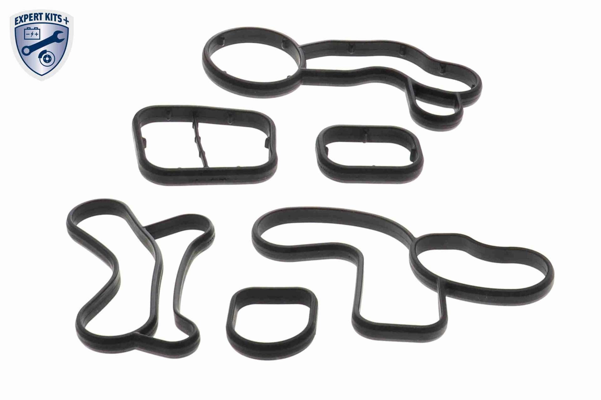 V20-60-1568_08