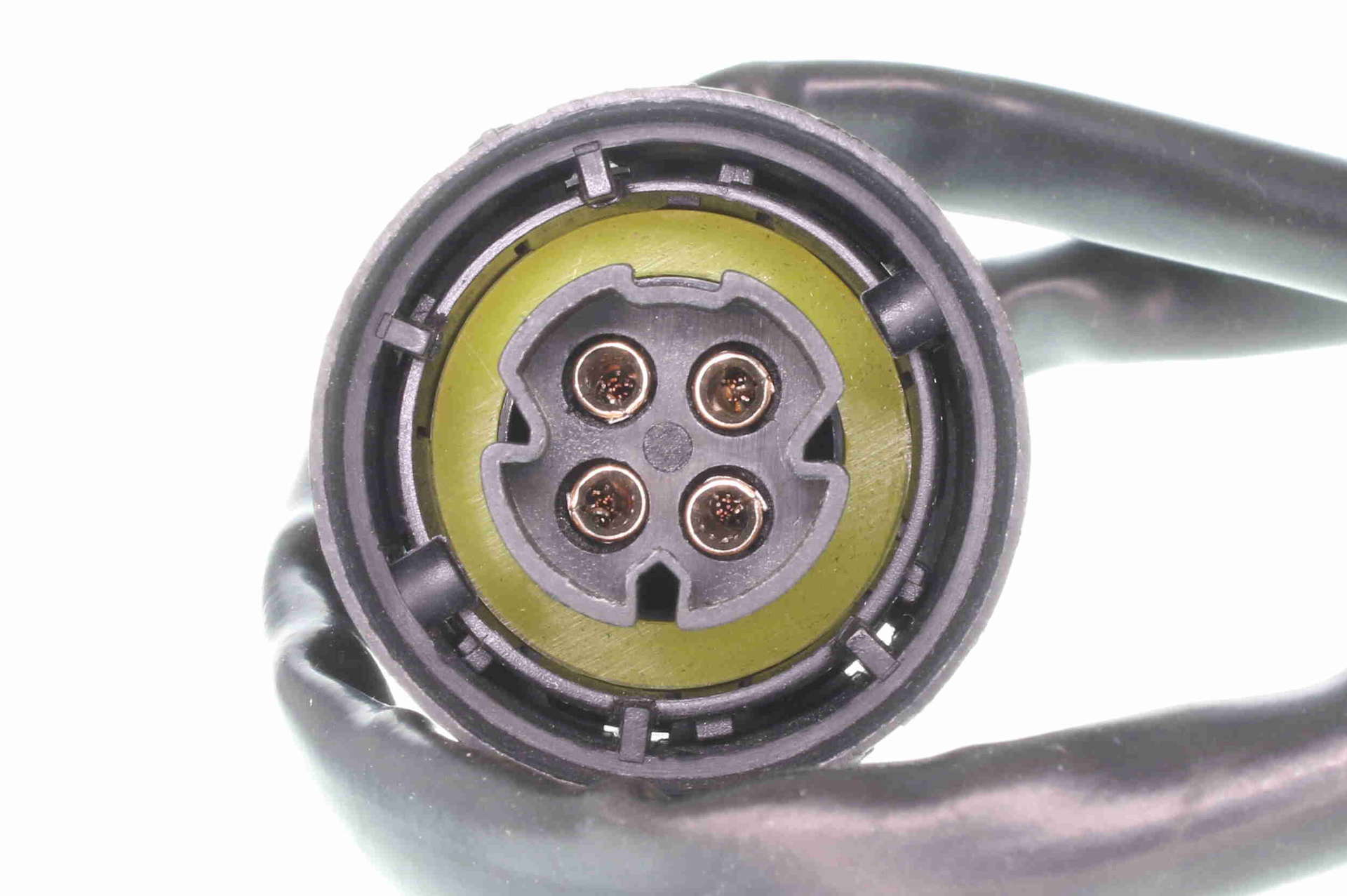 V20-76-0008_03