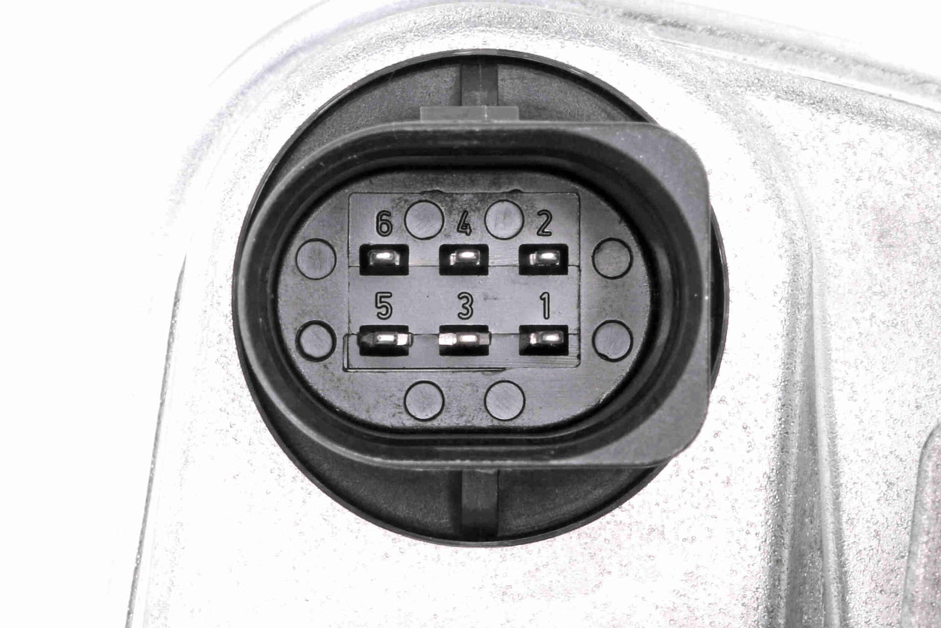 V20-81-0003_03