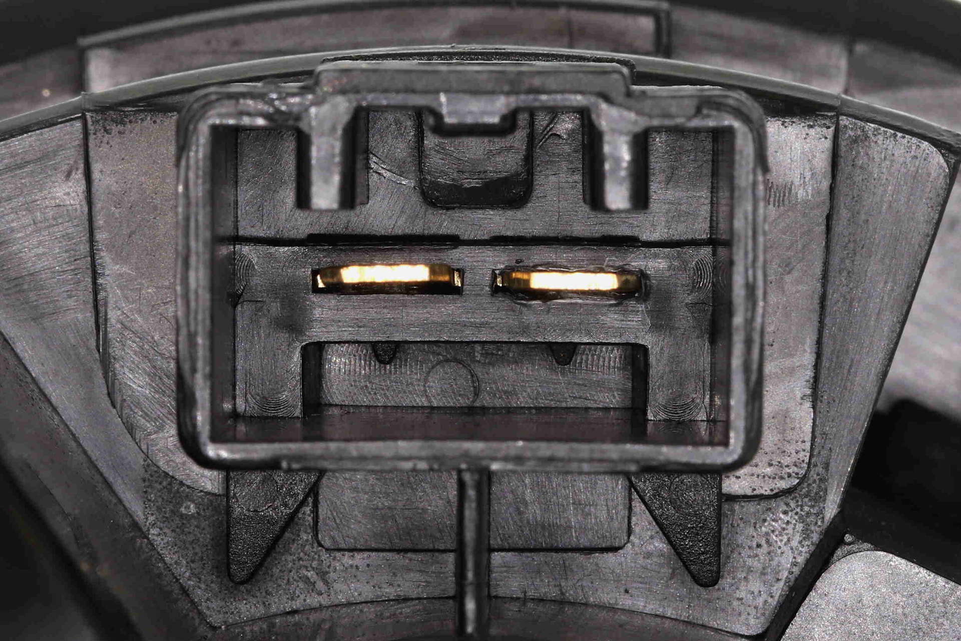 V25-03-1635_03