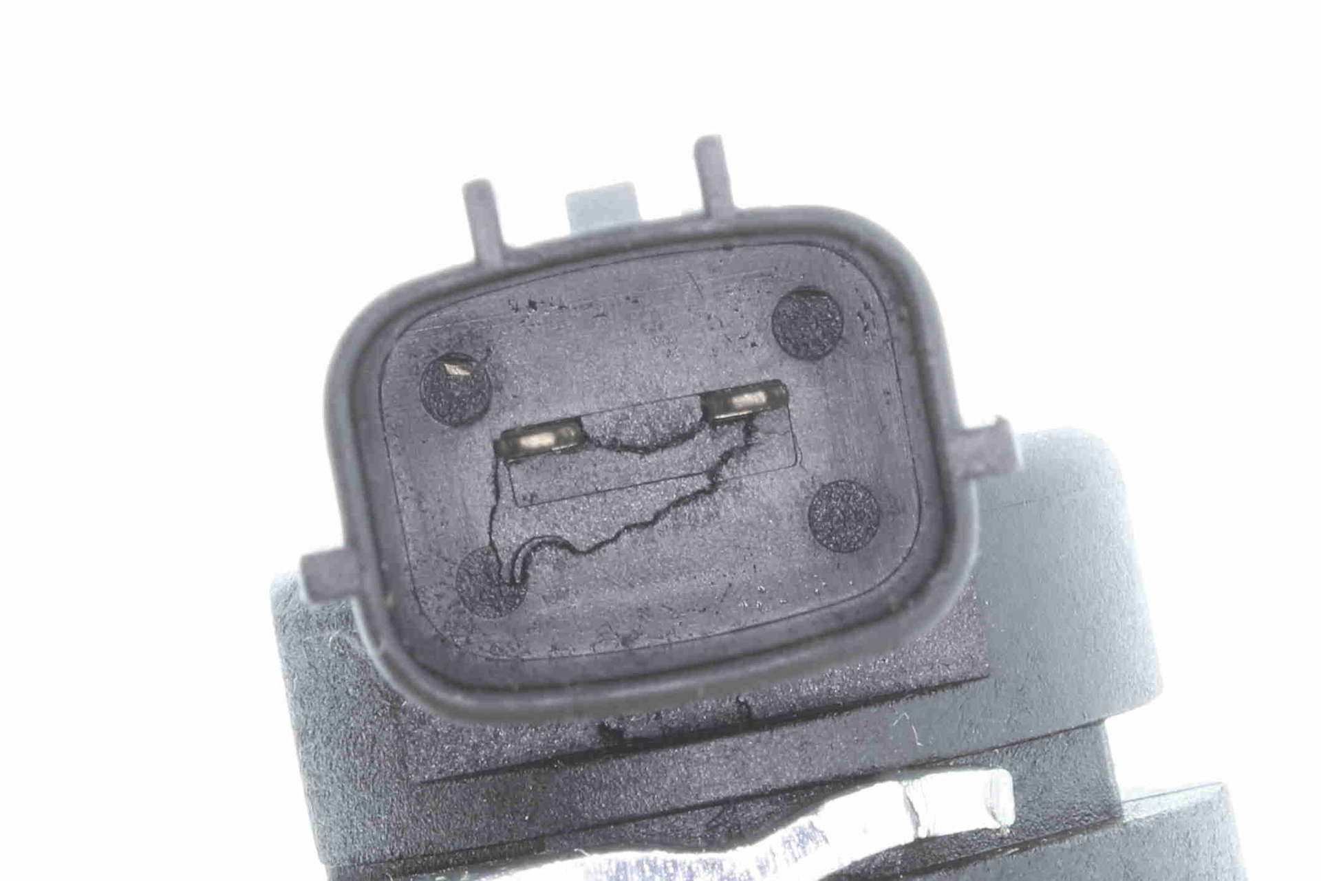 V25-72-0031_03