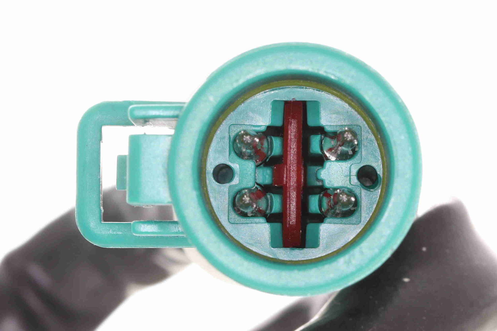 V25-76-0020_03