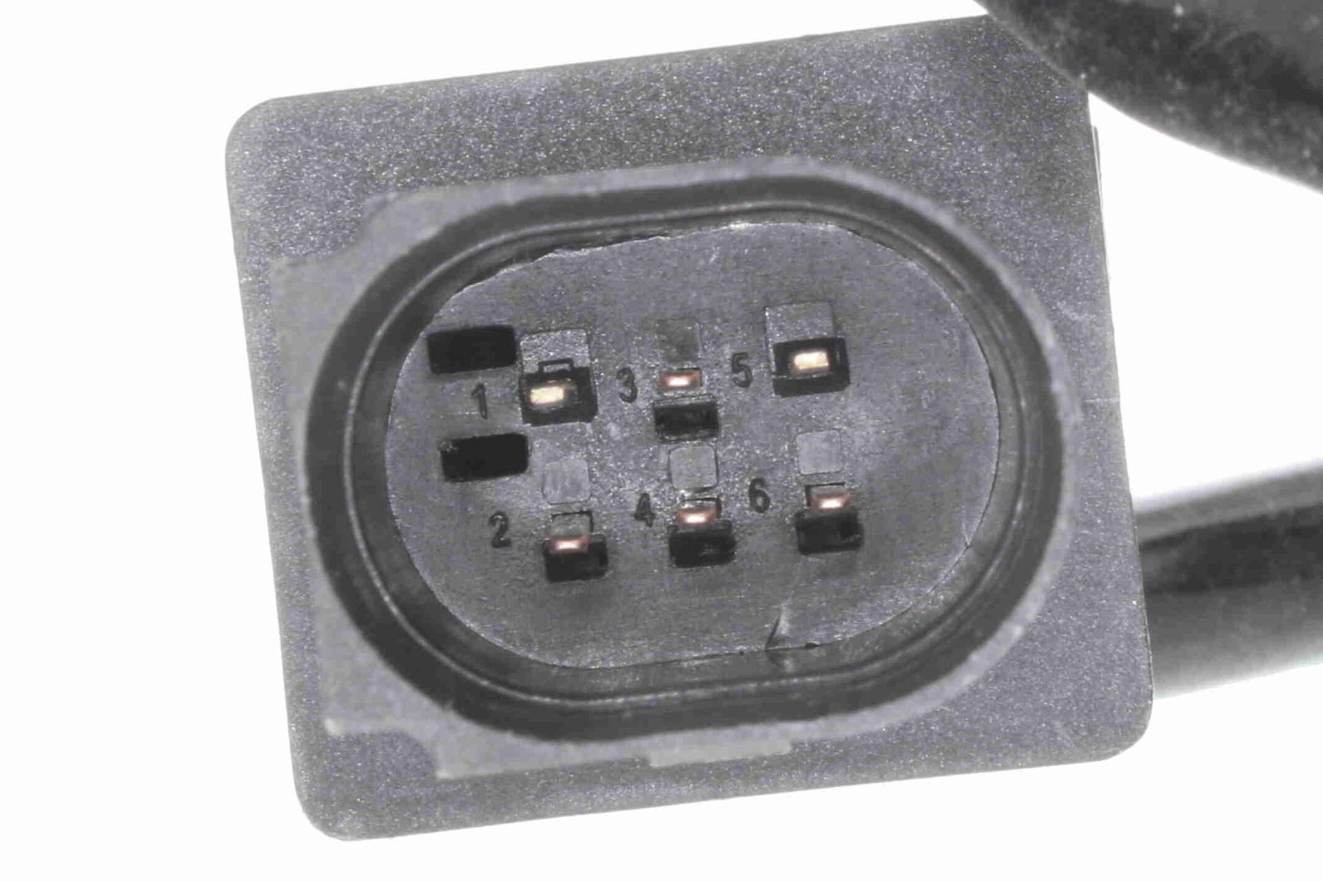 V30-76-0038_03