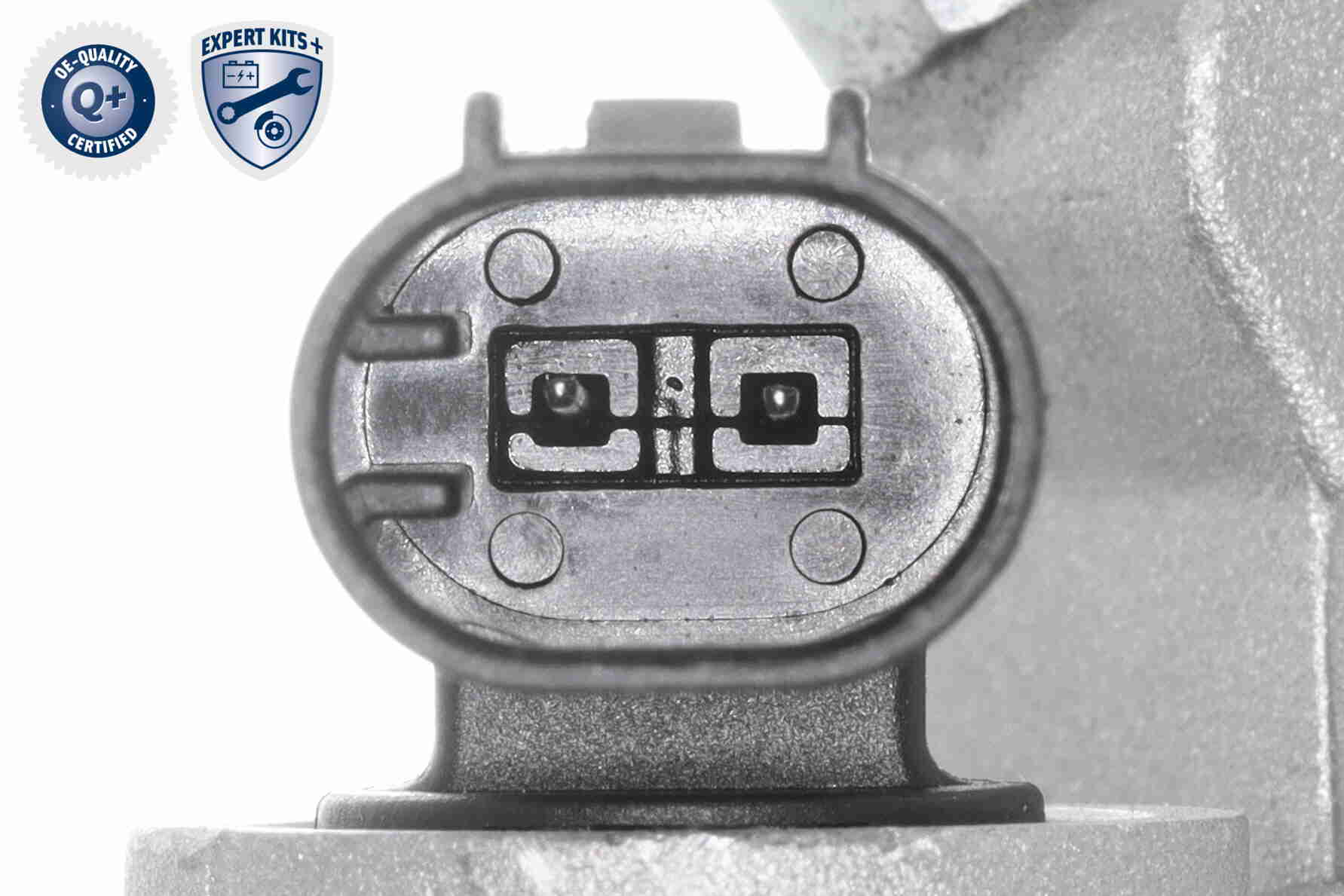 V30-99-0101_03