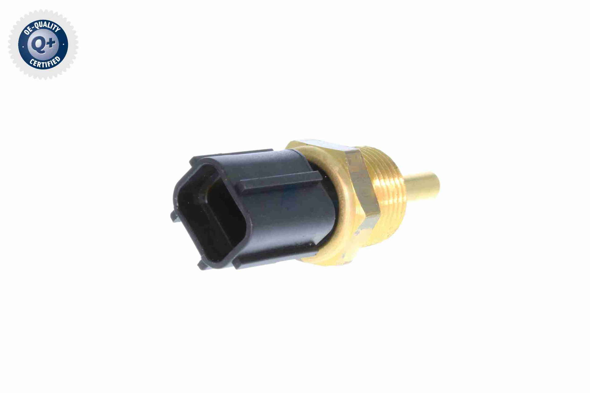 V37-72-0004_67