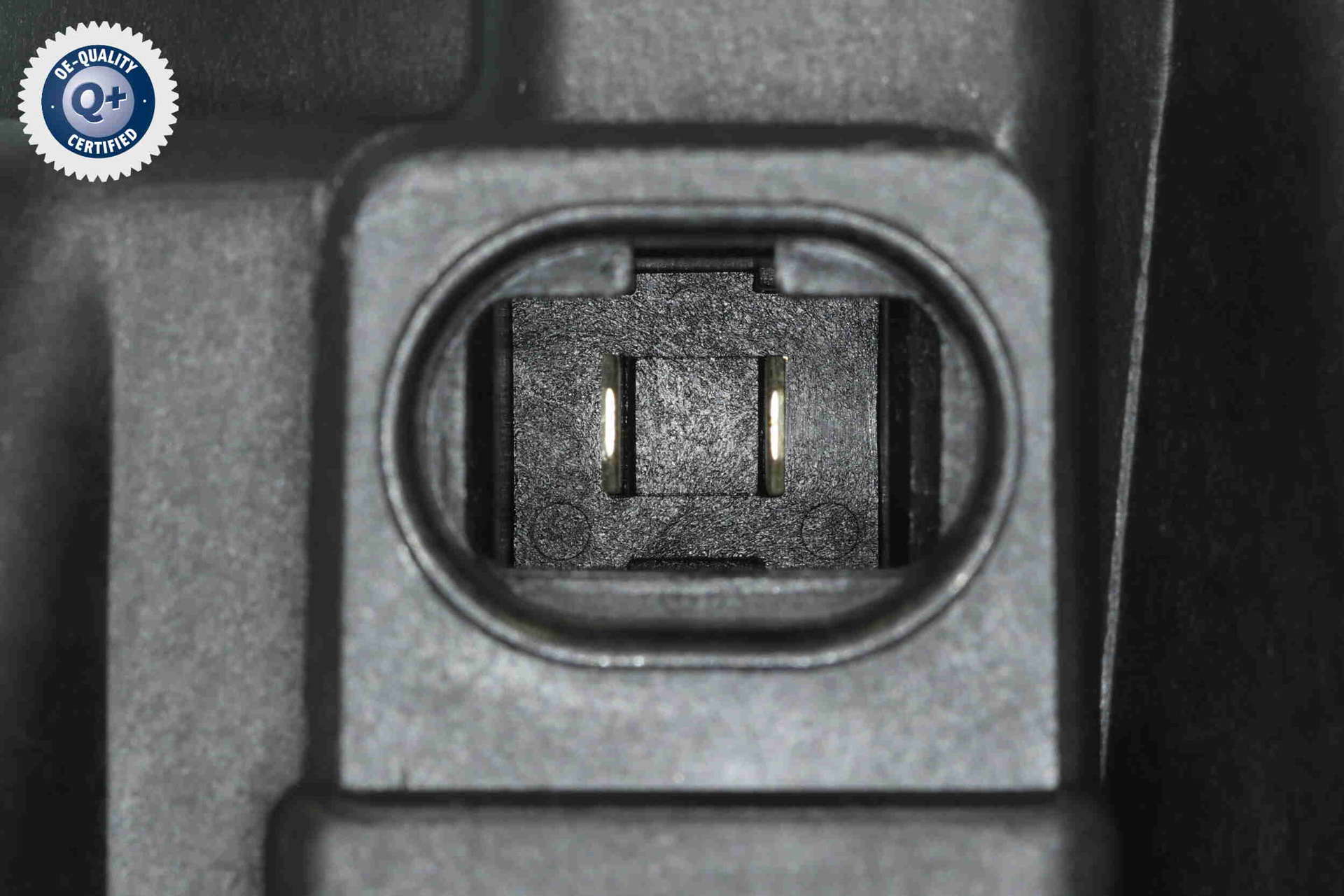 V42-03-1241_03