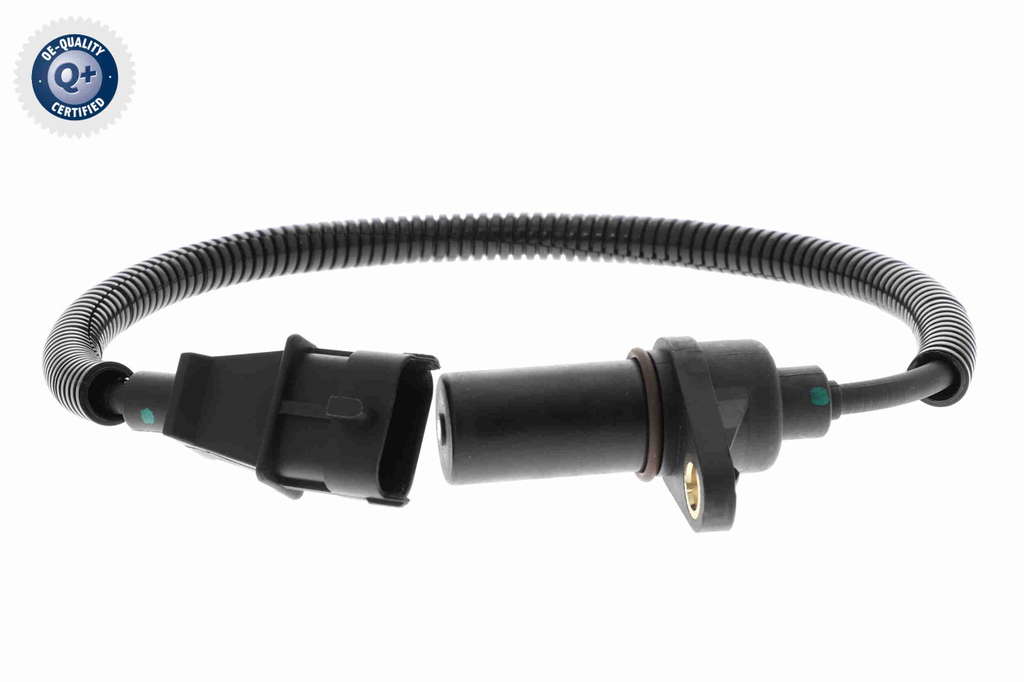 CAPTEUR D ANGLE, VILEBREQUIN