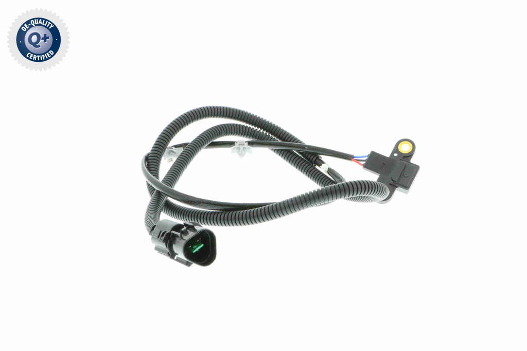 CAPTEUR D ANGLE, VILEBREQUIN