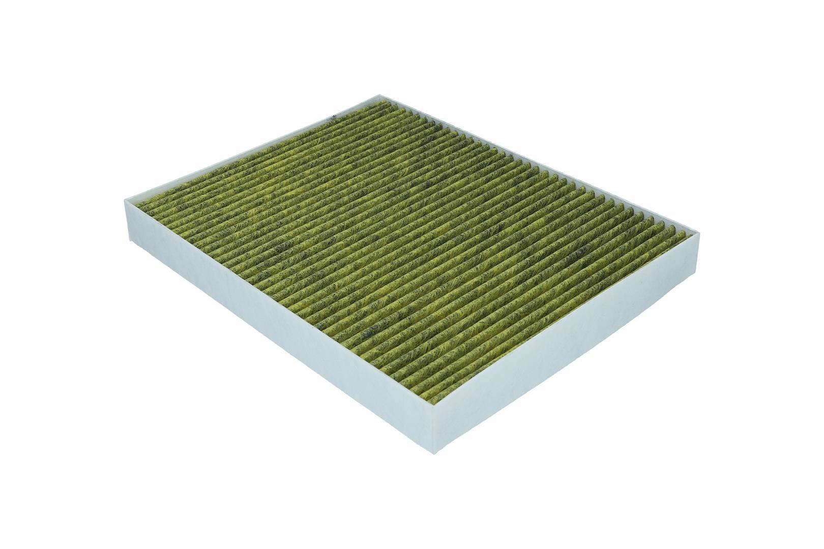 6080031_b