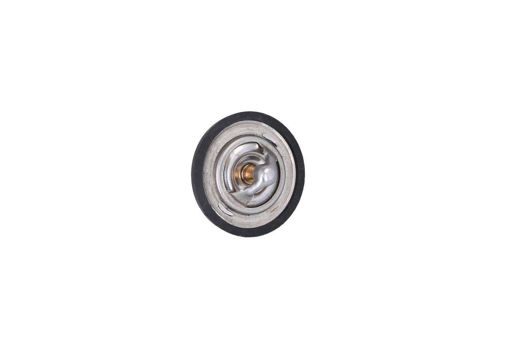 Thermostat d'eau