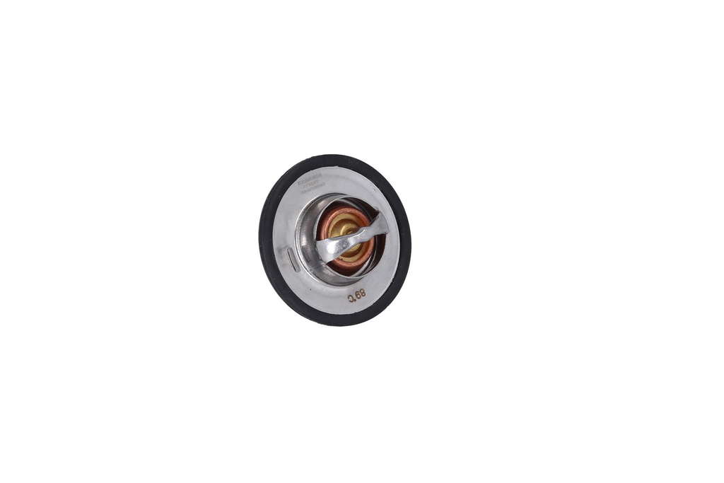 Thermostat d'eau