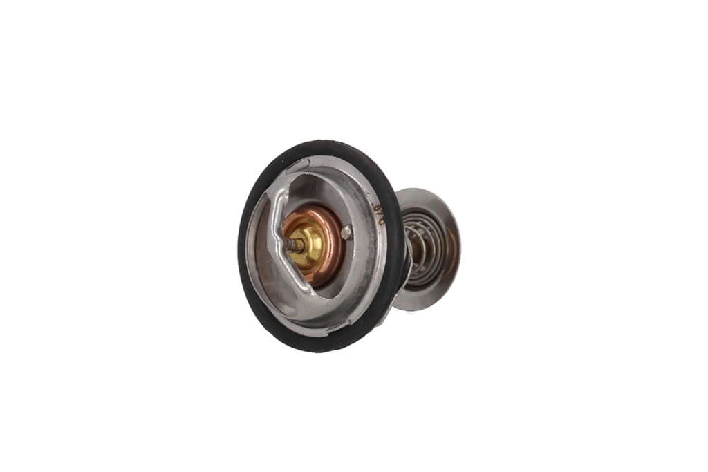 Thermostat d'eau