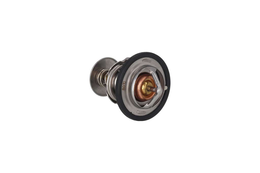 Thermostat d'eau