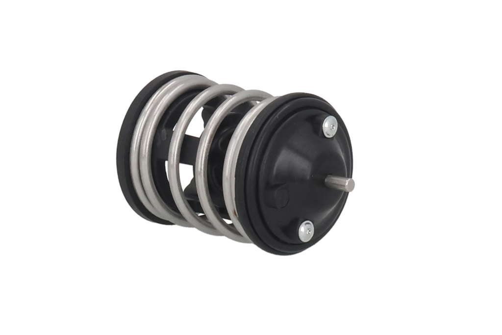 Thermostat d'eau