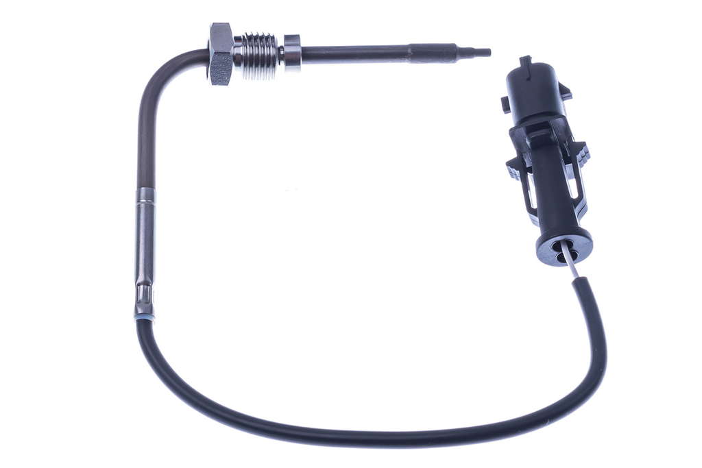 Palpeur de température des gaz