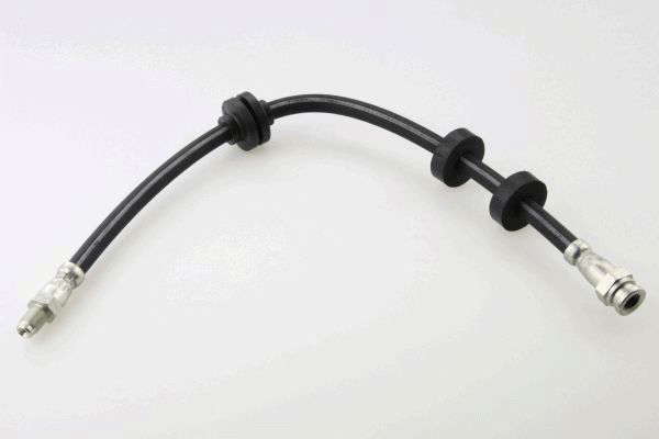 FLEXIBLE DE FREIN