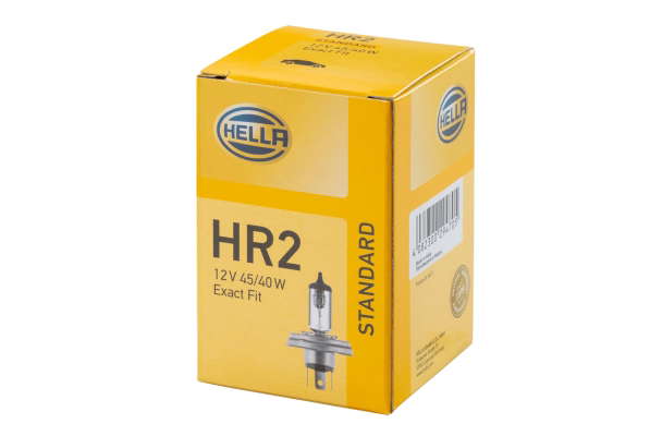 R2H 12V 45/40W - P45T41