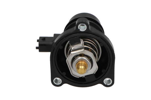 Thermostat d'eau