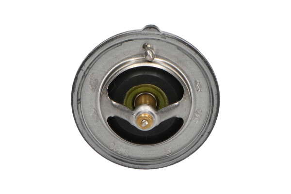 Thermostat d'eau