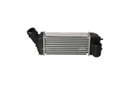 RAS - CITROEN C4 2.0D 05- INTERCOOL