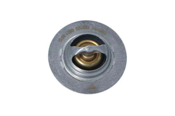 THM - RENAULT MEGANE 97- THERMOSTAT