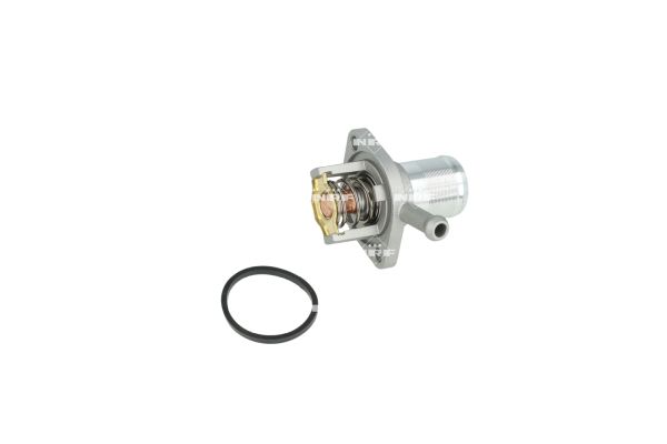Thermostat d'eau