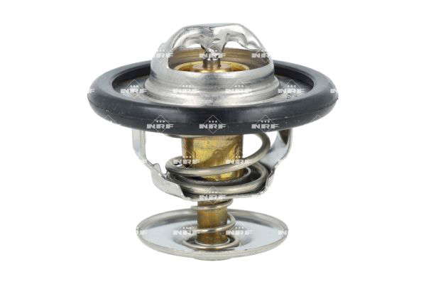 Thermostat d'eau