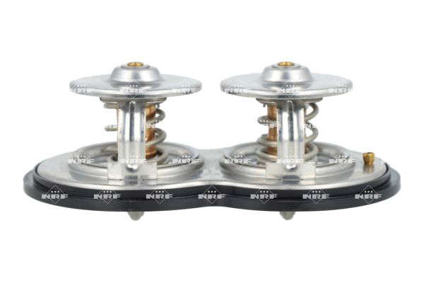 Thermostat d'eau